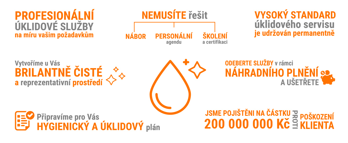 Úklidový servis a služby - náhradní plnění - D.I.SEVEN Facility